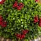 3ft. Pre-Lit Artificial Christmas Ornament Boxwood Topiary Tree with 70 Warm White LED Lights